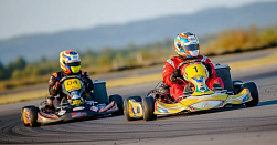 Картинг для взрослых