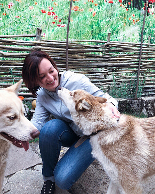 Катание на хаски в Оренбурге. Ultra Подарки. Катание на хаски в Оренбурге. Попробуйте Катание на хаски. Сервис: UltraPodarki.ru 8 800 505 95 30. Катание на хаски Оренбург, Катание на хаски в Оренбурге, хаски, животные в Оренбурге, 